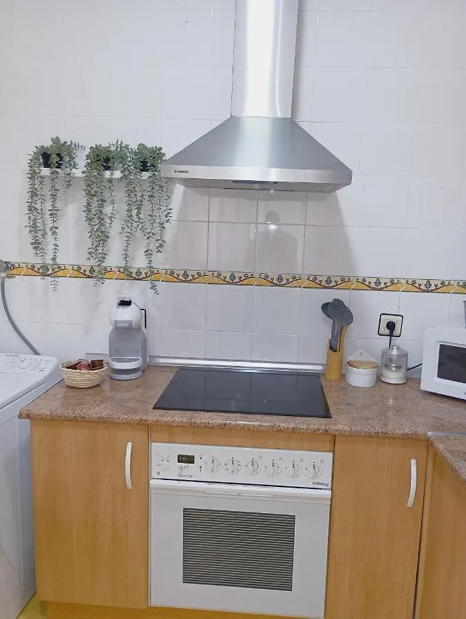 Apartment Vacational Homes South Organic Malaga